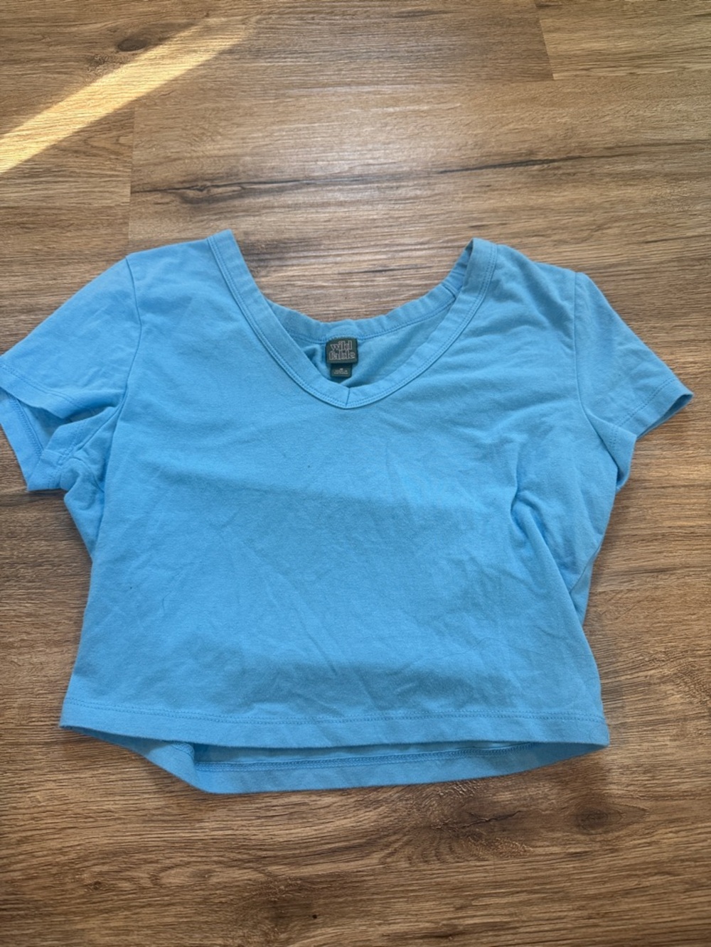 wild fable Light Blue V-Neck Crop Top